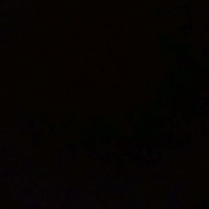 Meet your Posher, Selena